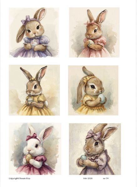 Hovedbilde Klippeark 74