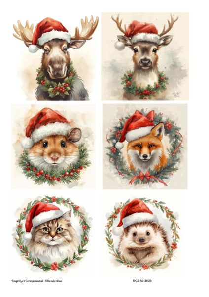 Hovedbilde Klippeark 50